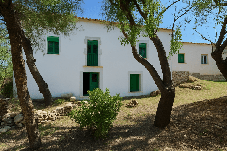 ChatGPT-Image-11-jun-2025-08_31_28 - copia